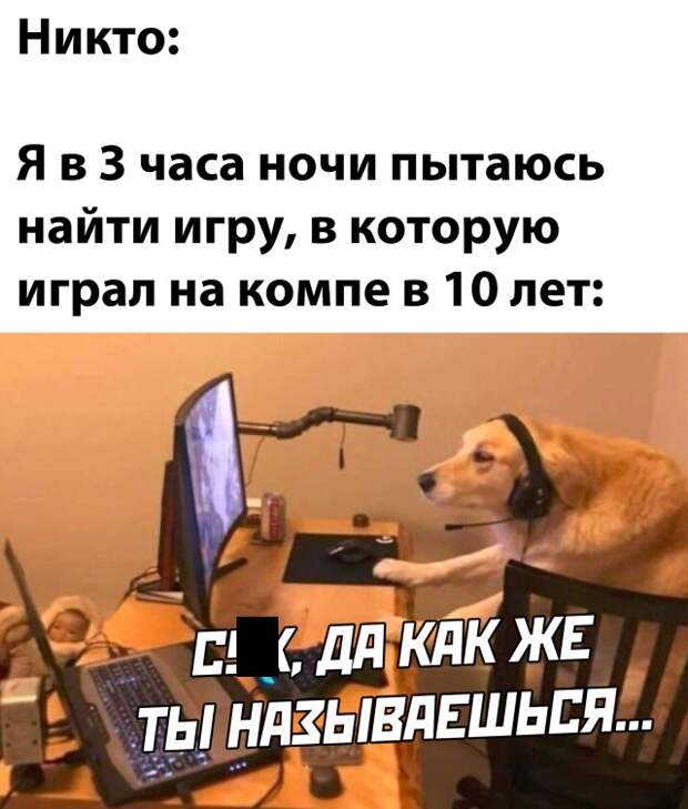 Смешные фото вечерний выпуск 27 января 2021