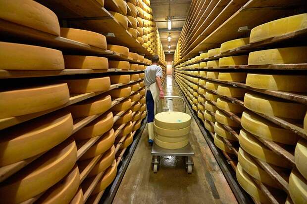 Изготовление сыра в Швейцарии еда, сельское хозяйство, сыр