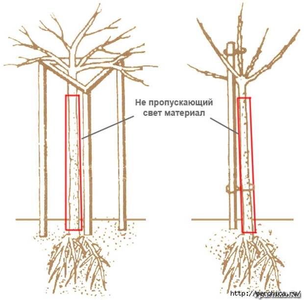 4979645_shtambkrijovika (494x487, 122Kb)