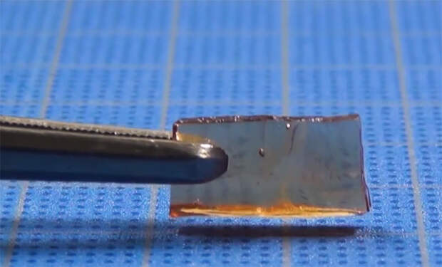 Источник фото: YouTube@Science Magazine/Скриншот