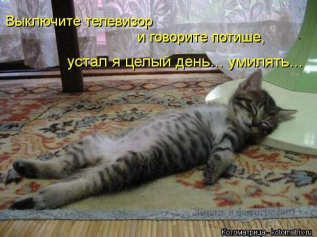 Котоматрицы