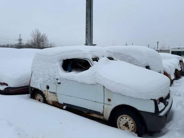 В Петербурге рекордно выросли показатели эвакуации брошенных автомобилей