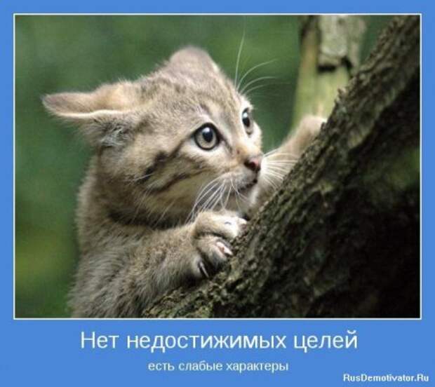 Картинки мотиваторы интересные цитаты.