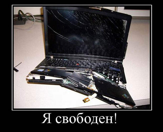 Я свободен!