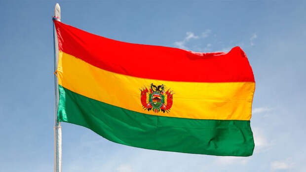 Два кандидата от правых вышли во второй тур выборов президента Боливии