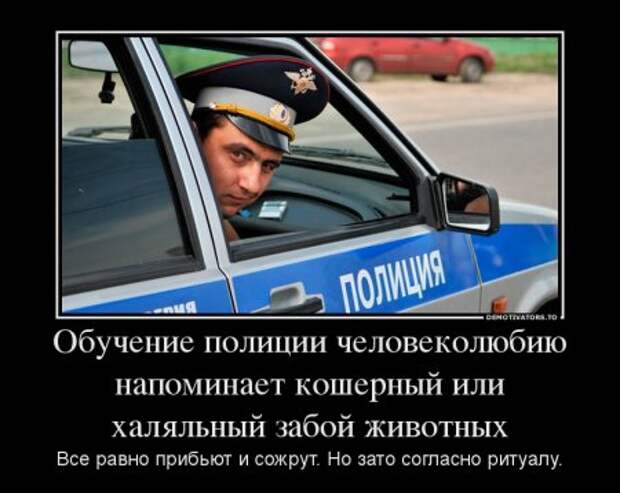 Демотиваторы прикольные, для поднятие весеннего настроения!