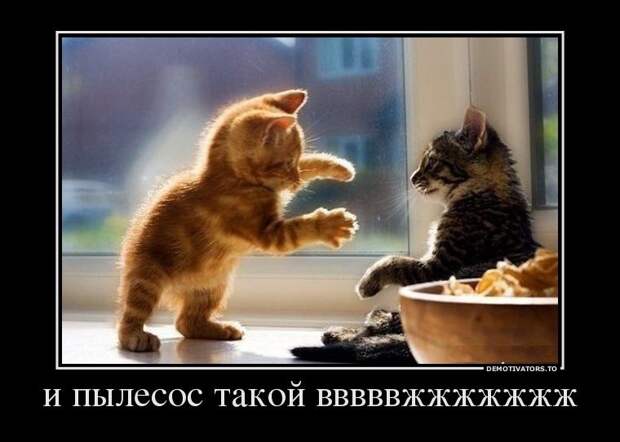 Сборник моих демотиваторов демотиватор, сборник