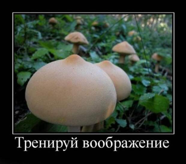 Суперновые демотиваторы.