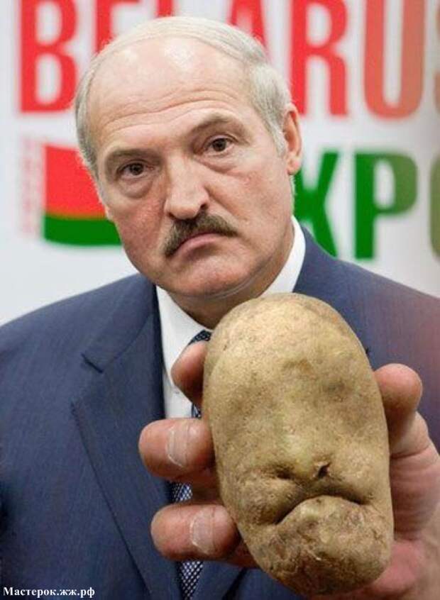 Посмотри в лицо ЕДЕ !