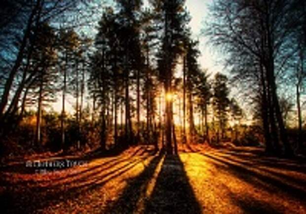 ФОТОГРАФ MIKE SHAW 35