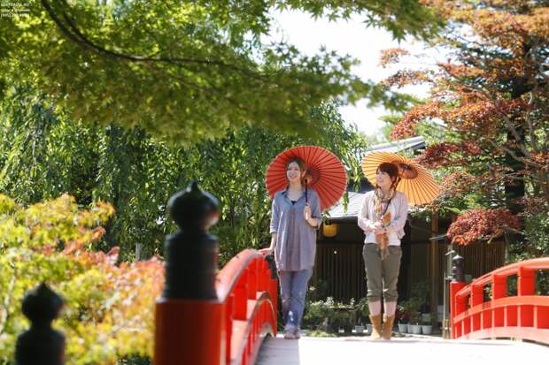 Осень в Японии 2015 2015 осень япония, алая осень японии, дегустация осени в японии, красные клены японии, момидзи, момидзи 2015, момидзи-гари, осень в японии, осень по-японски, осень-японии, тур в японию, японки, японская осень 2015