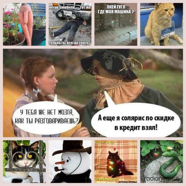 Веселые картинки