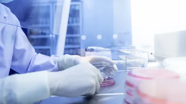 За сутки в России выявлен 180 071 случай инфицирования коронавирусом