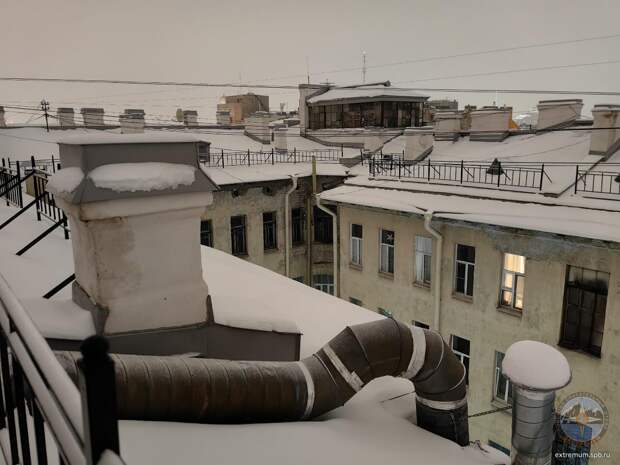 Спасатели почти две недели пытаются достать кота из дымохода на Чайковского