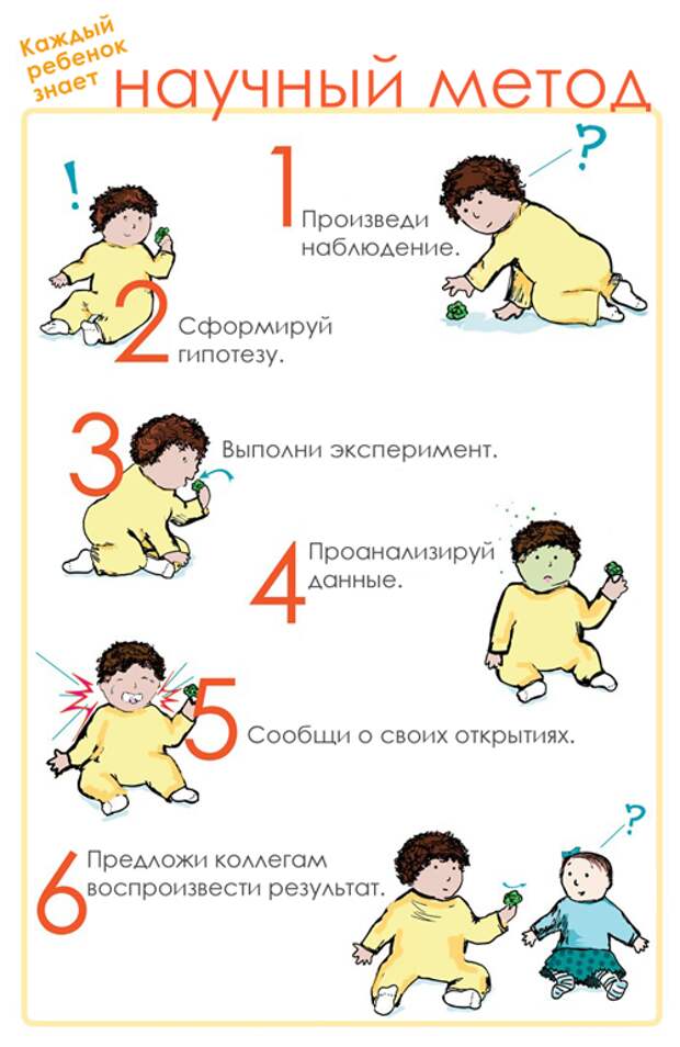 Каждый ребенок знает научный метод познания