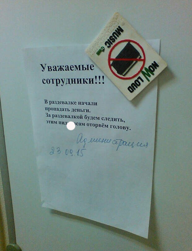 Воришки, которые уже давно в ссоре со своей совестью  вор, животные, прикол, юмор