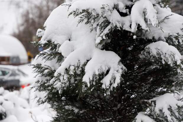 Пасмурно и до -17 градусов: погода в Туле на 23 января