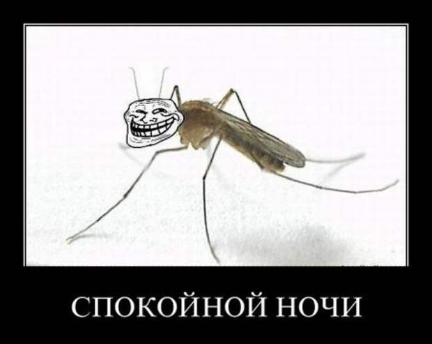 Веселые картинки демотиваторы.