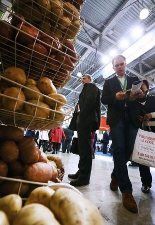 Новогодний стол: как изменились цены на продукты за год