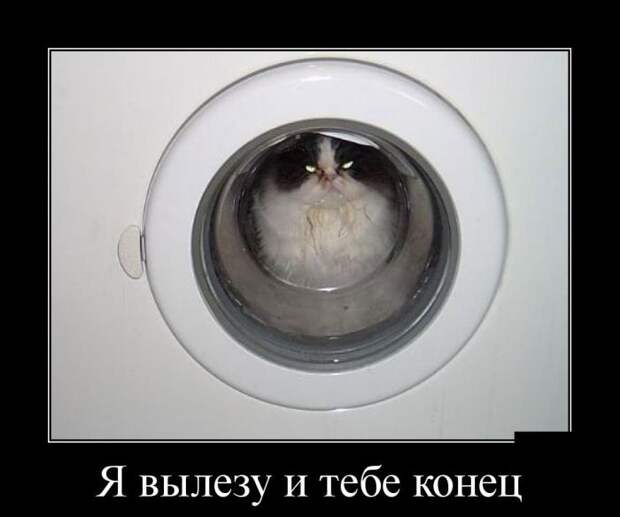 Я вылезу и тебе конец... демотиватор, юмор