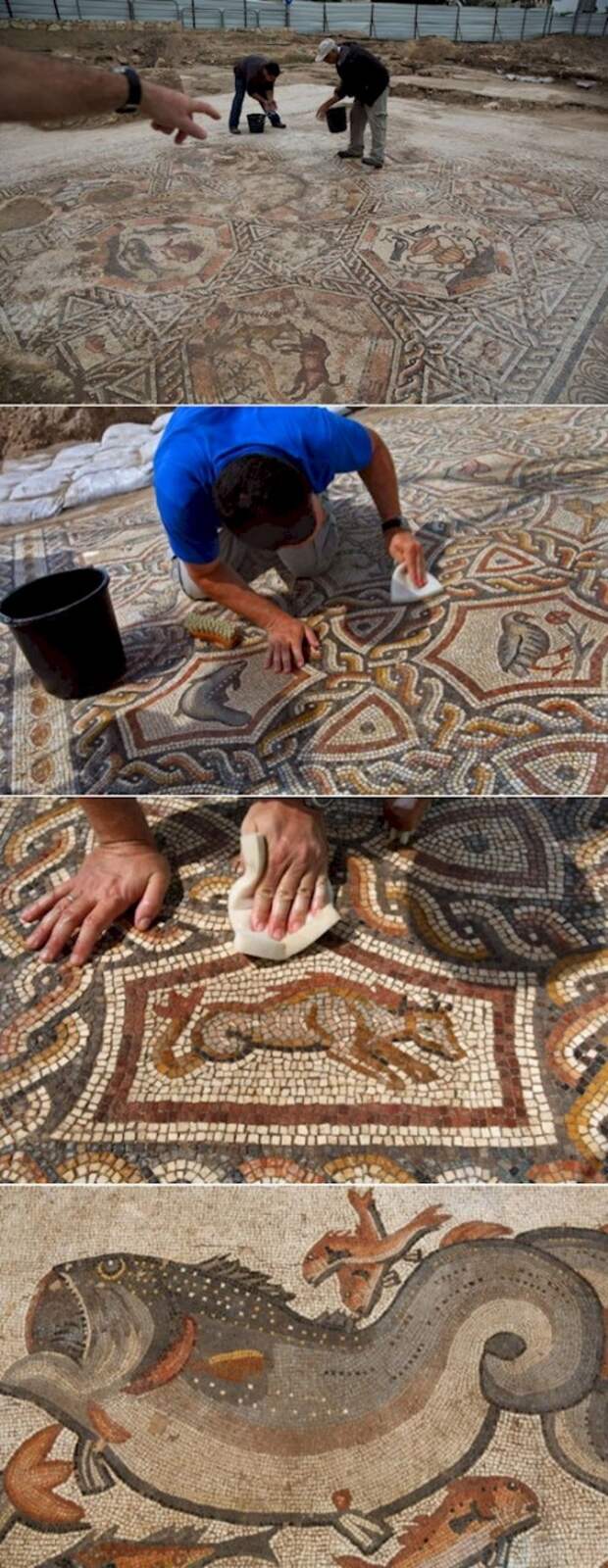 mymodernmet.com