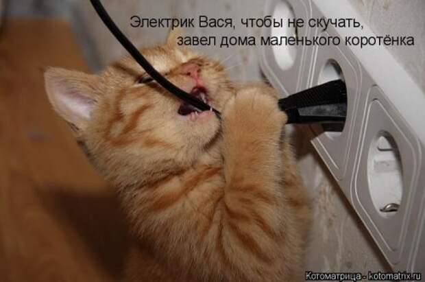 Еженедельная котоматрица (26 фото)
