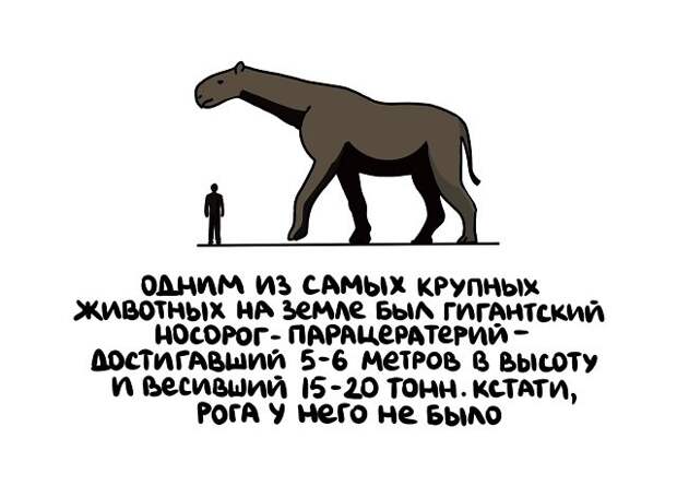 Интересные и короткие факты на все случаи жизни
