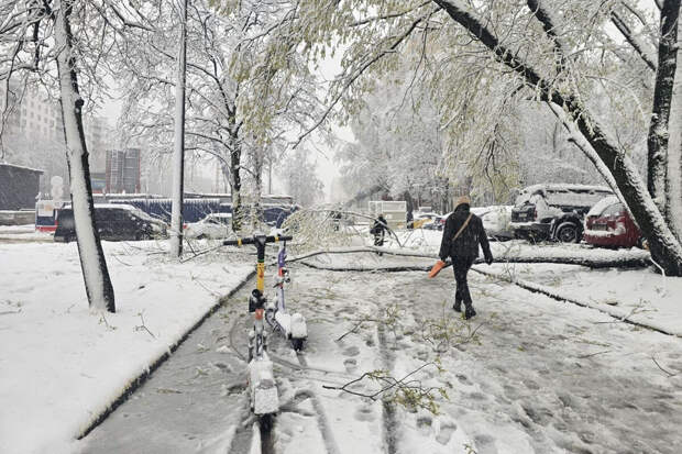 Синоптик Шувалов: весна в Москву придет к 9 мая