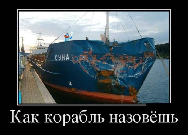Демотиваторы (30 фото)