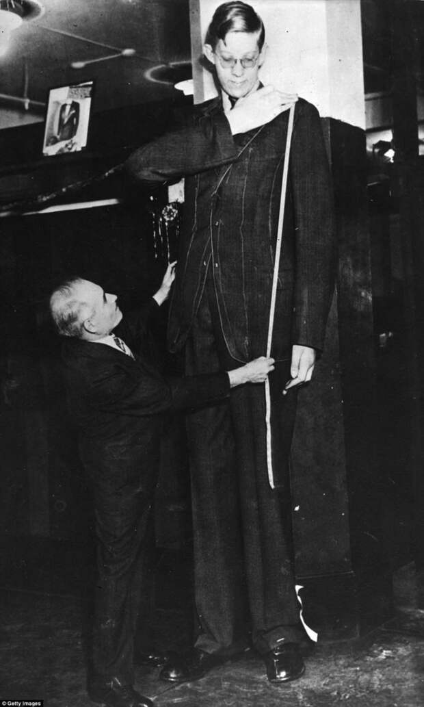 Портной в ателье снимает с Роберта мерки, чтобы сшить ему костюм. На костюм для него требовалось в три раза больше ткани, чем для человека обычного роста акромегалия, великан, опухоль, рекорд, рекорд гиннесса, рекордсмен Гинесса, самый высокий, самый высокий человек