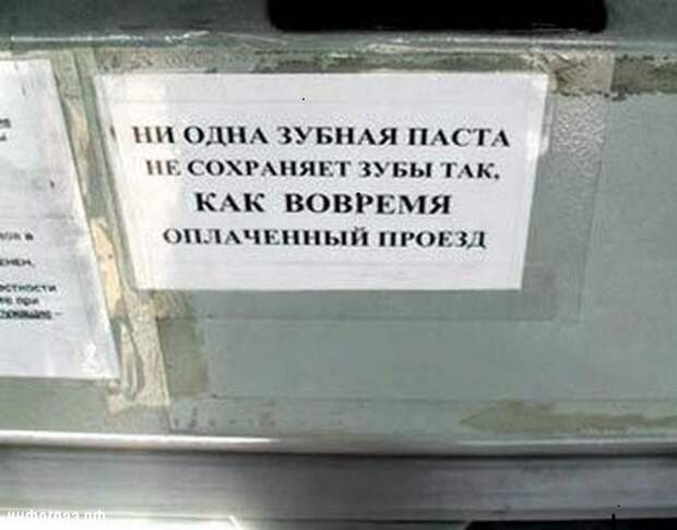 Забавные объявления, вывески, ценники. Часть 3