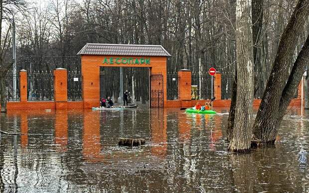 Из рязанских парков перед паводком вывезут имущество