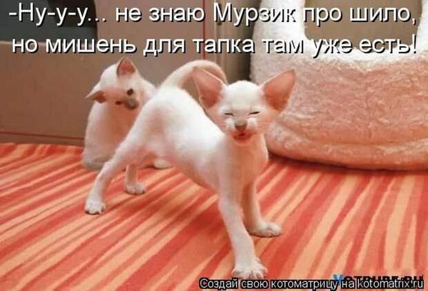Новые котоматрицы за неделю
