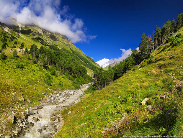 Caucasus mountains