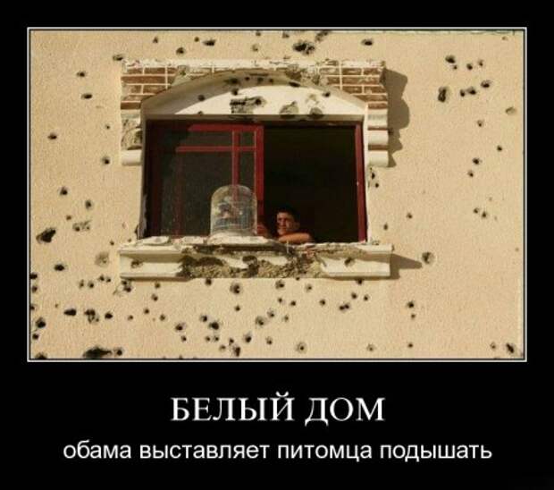 Демотиваторы смешнее подборки чем у нас не найдете!