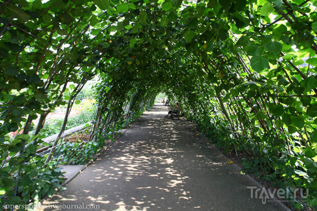 Лондон. Kensington Gardens / Фото из Великобритании