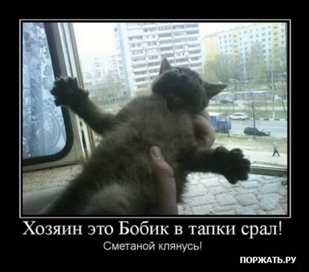 Демативаторы (21 фото)