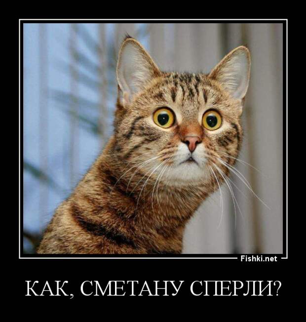 Демотиваторы демотиваторы, прикол, смех, юмор