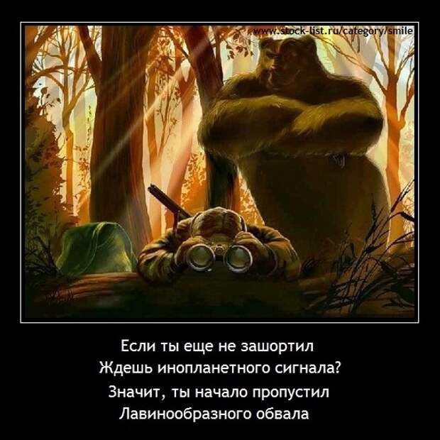 Пятничное...Про вечных мишек Пятничное...Про вечных мишек