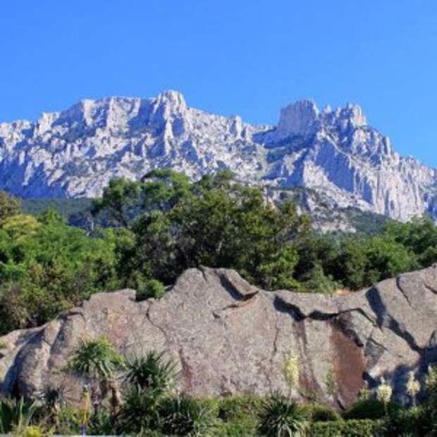 Новости Крыма