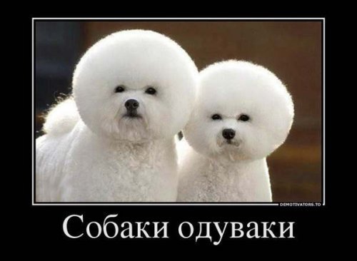 Пачка демотиваторов №1 - продолжение следует Пачка демотиваторов №1 - продолжение следует