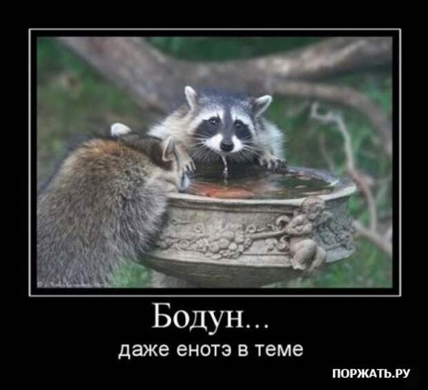 Демотивируйтесь