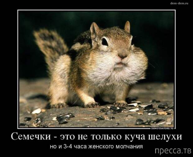 Самые злобные демотиваторы, часть 112 (41 фото)