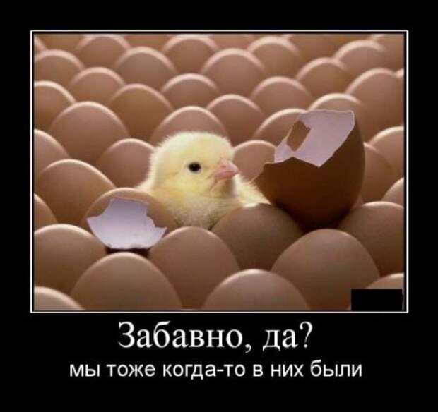 Демотиваторы смешно и прикольно!