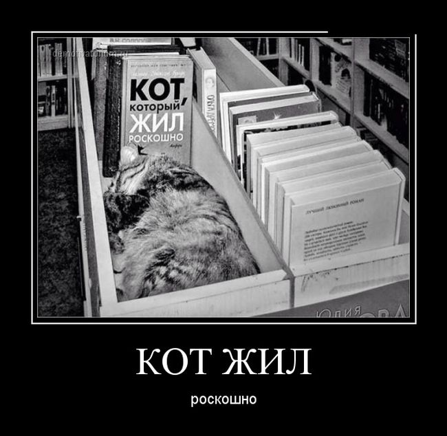 Демотиваторы демотиваторы