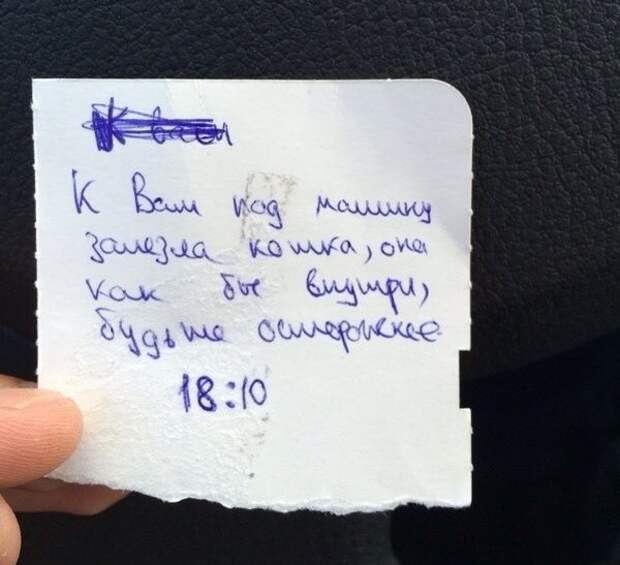 Подборка автоприколов. Часть 218 авто, автоприколы, приколы