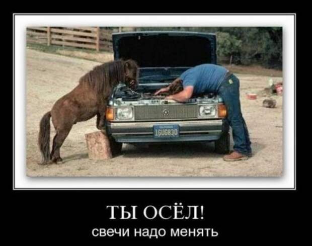 Демотиваторы к концу рабочей недели, супер смешно и прикольно!