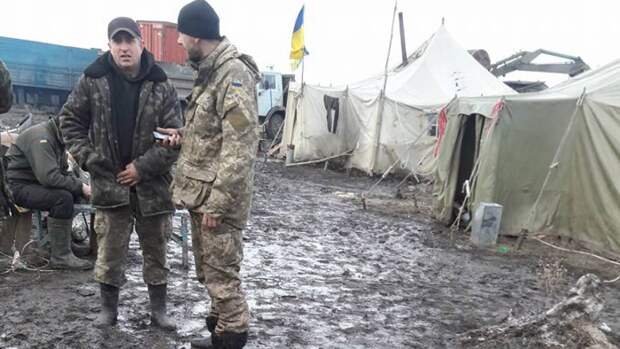 «Тихая дипломатия»: как Украина в «аспирантуру» НАТО поступила