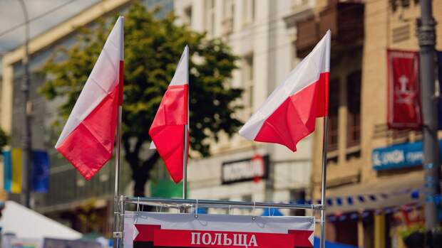 Поляки высмеяли Украину за воинственные заявления в адрес России Поляки высмеяли Украину за воинственные заявления в адрес России