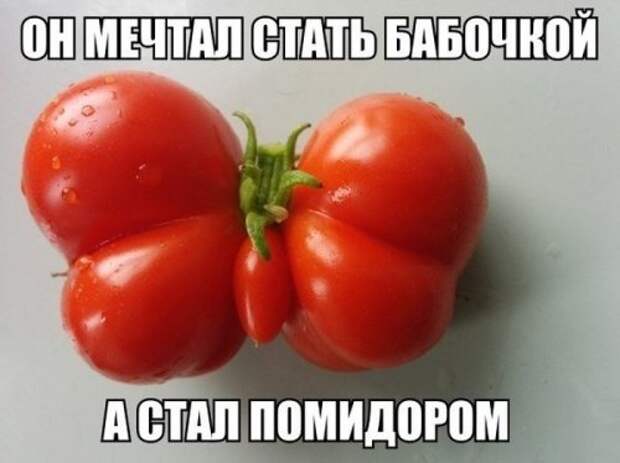Небольшая подборка прикольных картинок (23 шт)